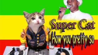 Super Cat - How u pretty so