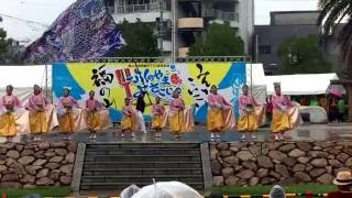 八琴栞 ふくのやまよさこい