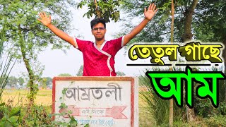 তেতুল গাছে আম আম্রতলীতে কি আশ্চর্য । খেতুরি ধাম নরোত্তম দাস ঠাকুর লীলা । Kheturi Dham  Rajshahi