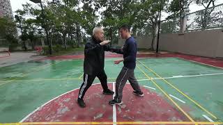 太極自由推手訓練 Tai Chi Free Pushing Hands Training 2025年2月1日