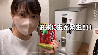 お米に虫が湧いたんだけど！食べる？捨てる？