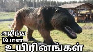 அழிந்து மறைந்து போன ஆபத்தான உயிரினங்கள்||most dangerous extinct animals