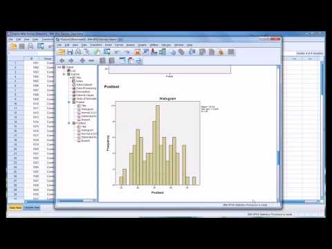 How do I interpret the Shapiro-Wilk test for normality?