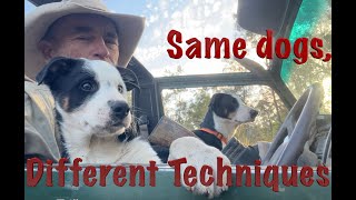 Same dogs, different techniques