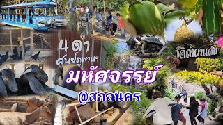 ทัศนศึกษา ศูนย์ศึกษาการพัฒนาภูพานฯ #สกลนคร #วัดถ้ำผาแด่น #เต่างอย #เที่ยว