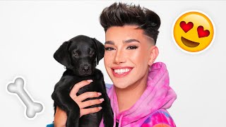 SURPRISE! We Got A New Puppy!! 🐶