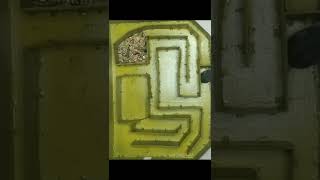 The hamster goes through the maze! An obstacle course for hamsters!