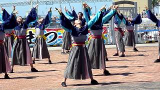 Nalko連おどりや　2011　神戸よさこい　マリンピア会場　1