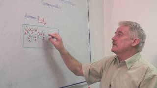 Physics & Electromagnetism : The Domain Theory of Magnetism