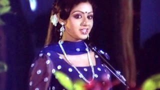 Choosuko Padhilangaa Full Video Song || Anuraga Devatha Movie || N.T.R, Sridevi