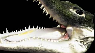3d Gator Bite Animation Test