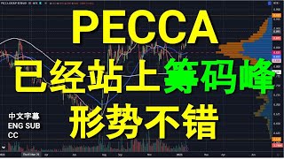 PECCA 已经站上筹码峰，形势不错.[中英文字幕ENG SUB][CC].YT会员问股福利.盘后技术分析.17012023.