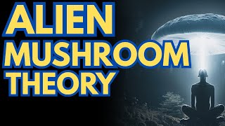 The Alien Mushroom Theory: Did Extraterrestrials Use Psychedelics to Evolve Human Consciousness?