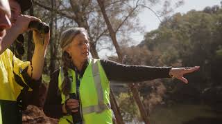 Nepean River Bank Stabilisation Project