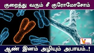 குறைந்து வரும் Y குரோமோசோம் ஆண் இனம் அழியும் அபாயம்..! | Dwindling Y Chromosome Male