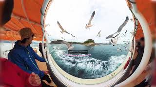 Sanriku Geopark VR Movie (Jodogahama Beach)