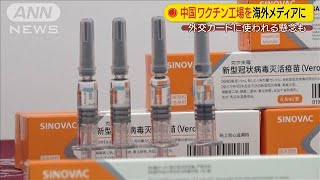 中国ワクチン工場を海外メディア公開　見返り懸念も(2020年9月24日)