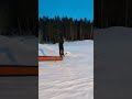 laajis snowpark freeski skiing laajis