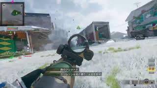 適当マン視点　お試しで[COD BO6]デュオプレイ