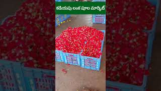 KADIYAPU LANKA FLOWER MARKET #KADIYAPULANKA #rajahmundry #flowers