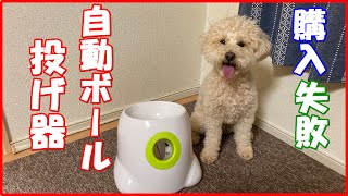 自動ボール投げ器を買って損した！愛犬トイプードルのオモチャで後悔したレビュー動画！