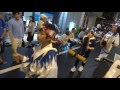 南粋連／第7会場（1回目）／第47回 初台阿波踊り2016 二日目