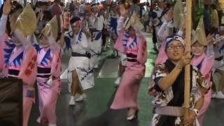 南粋連／第7会場（1回目）／第47回 初台阿波踊り2016 二日目