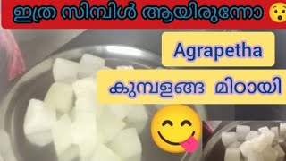 agrapetha recipe കുമ്പളങ്ങ മിഠായി എ ളുപ്പത്തിൽ  തയ്യാറാക്കാം മലയാളം