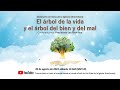 El árbol de la vida y el árbol del bien y del malㅣShincheonji Iglesia de Jesús