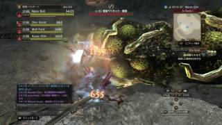 [DDON]クエ悔恨晴らすまで　侵食ベヘモット