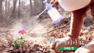 [소통이가 간다] 식목일 편