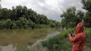 Am pescuit 5 ZILE împreună cu GUGU în sălbăticia Deltei Dunării pe Canalul Tătaru - PRIMA PARTE 🥰🐟🎣