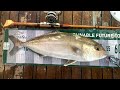 Landing an Amberjack on a light Ikada setup | Saltwater Fishing in Hong Kong