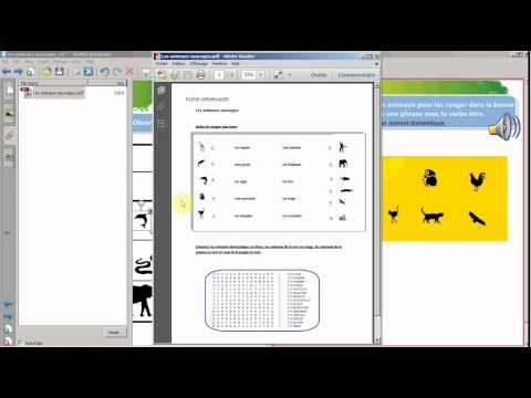 2º Eso Les Chouettes Les Animaux De La Savane