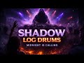 Shadow Log Drums | Midnight Amapiano Calling