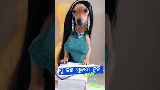 #balkuni upare kialo #instareels #trending #viral #comedy #mahamantra #mahamantra