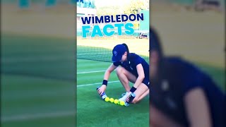 Insane tennis ball usage at Wimbledon each year! #Shorts
