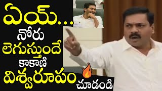 ఏయ్..నోరు లెగుస్తుందే | ఒక్కొక్కర్ని ఉతికి ఆరేసిన కాకాణి | Assembly Winter Session 2019 | PQ