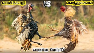 Turkey vs Vethukaal Seval in Tamil | வான்கோழி vs வெத்துக்கால் சேவல் | Fantasy Battle