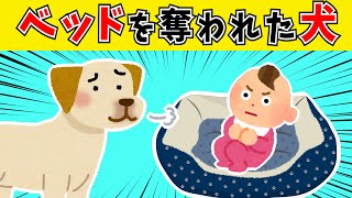 【ほのぼの2ch】娘に寝床を奪われた愛犬の末路【ゆっくり】