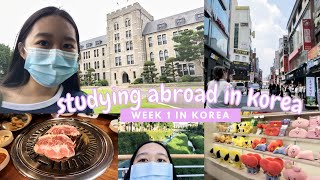 first week studying abroad in korea | dongguk university, language school, living in a sharehouse