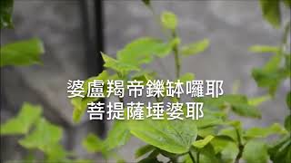 觀世音菩薩甘露咒