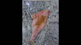 How To Make Fish With KanKan Spice | For Beginners