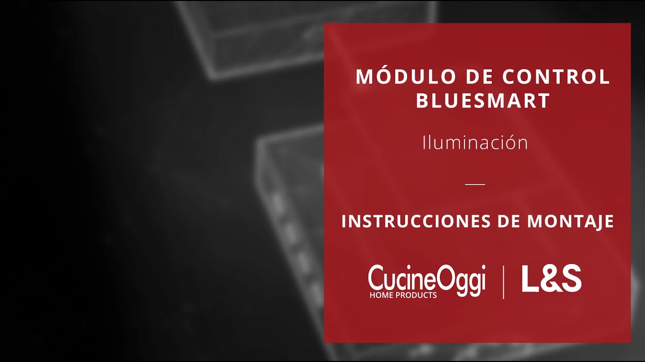 Módulo De Control Bluesmart - Instrucciones De Montaje | Cucine Oggi ...