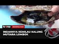 Kemilau Mutiara Lombok | Indonesia Plus tvOne