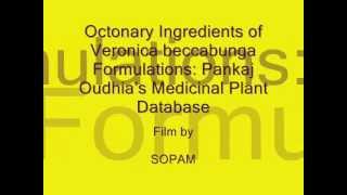 Octonary Ingredients of Veronica beccabunga Formulations: Pankaj Oudhia's Medicinal Plant Database