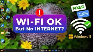 How to Fix WiFi Connected But No Internet Access in Windows 11 (2026)