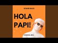 Hola Papi! (Original Mix)