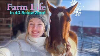 Life With 50+ FARM ANIMALS In 40 Below!! Farm Vlog