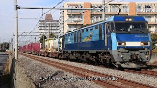 ブルーサンダーEH200-24コキ2088レとE231系のすれ違い